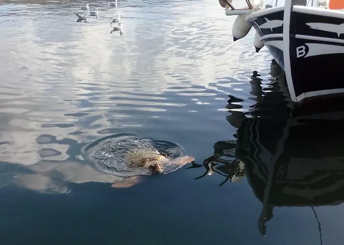 Joleni In Keramies * Korianna